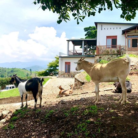 Amazi Land Home And Farm Stay Kibuye Экстерьер фото
