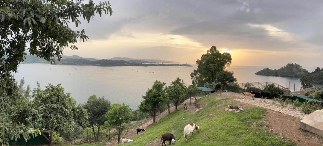 Amazi Land Home And Farm Stay Kibuye Экстерьер фото