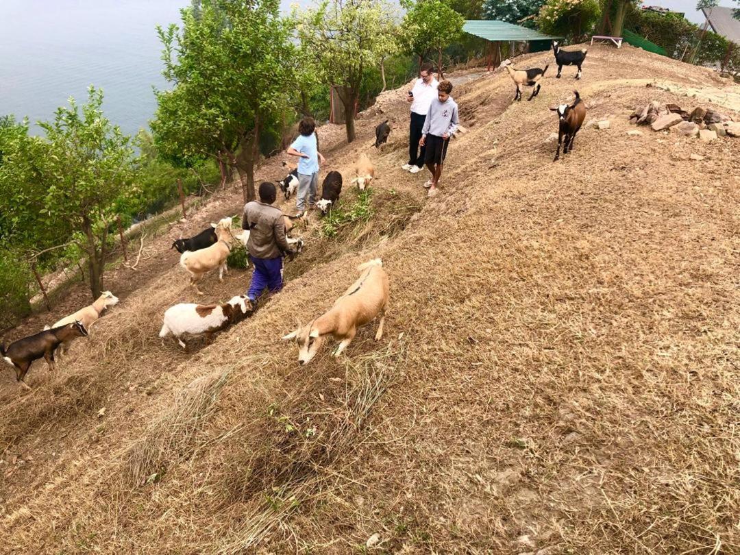 Amazi Land Home And Farm Stay Kibuye Экстерьер фото